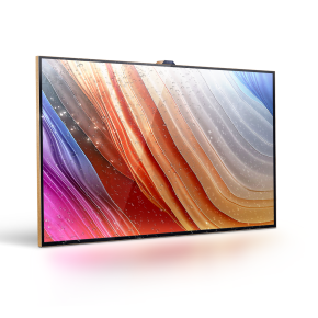 LS-TV55Y 55inch Outdoor TV