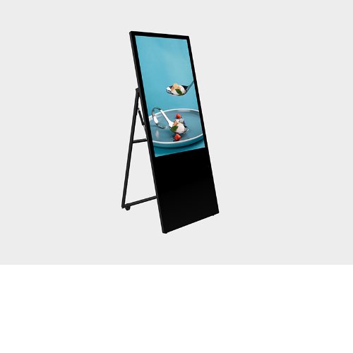 43inch Portable Media Advertising Display 